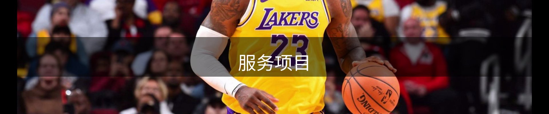 服务项目